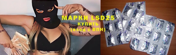 прущие грибы Абинск