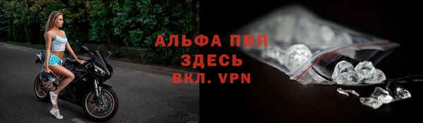 прущие грибы Абинск