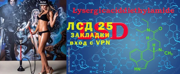 трава Корсаков
