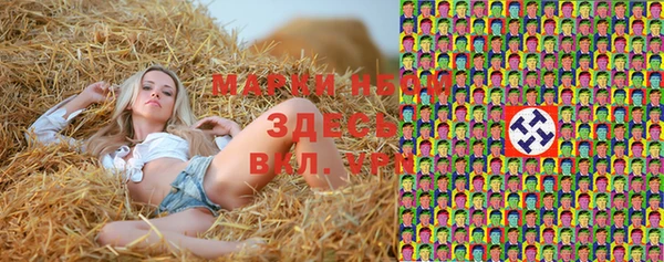 прущие грибы Абинск