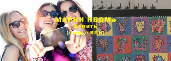 прущие грибы Абинск