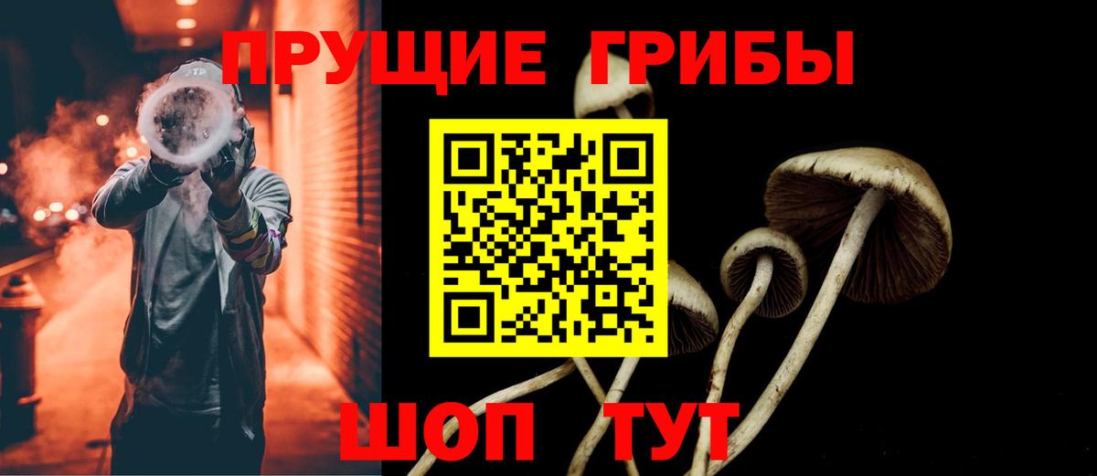 Скопин  Псилоцибиновые грибы GOLDEN TEACHER  цена   Галлюциногенные грибы ЛСД  Вход с VPN 